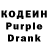 Codein Purple Drank Zizi Ceferova